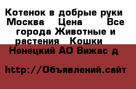 Котенок в добрые руки. Москва. › Цена ­ 5 - Все города Животные и растения » Кошки   . Ненецкий АО,Вижас д.
